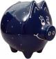 Preview: Sparschwein groß mit Schrift (1 Zeile) blau 1 Punkt - Kopie