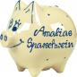 Preview: Sparschwein mittel mit Schrift (2 Zeilen)