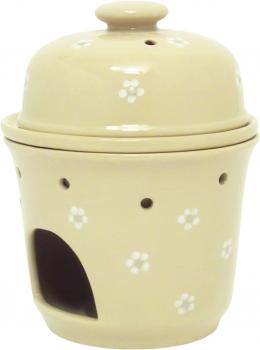 Apfelbräter Gänseblümchen