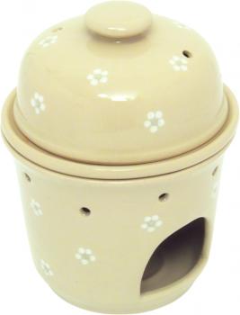 Apfelbräter Gänseblümchen