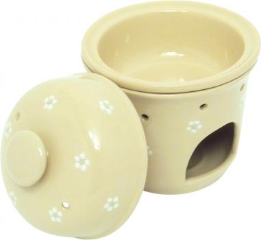 Apfelbräter Gänseblümchen