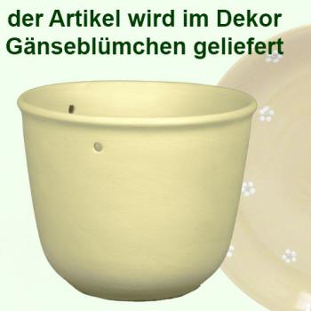 Blumenampel Gänseblümchen