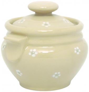 Honig Gänseblümchen