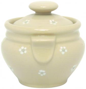 Honig Gänseblümchen