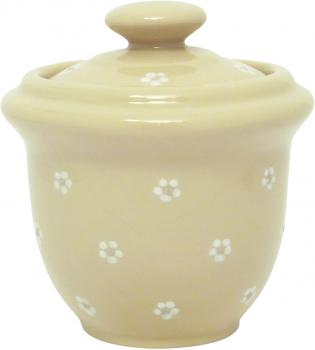 Salztopf Gänseblümchen