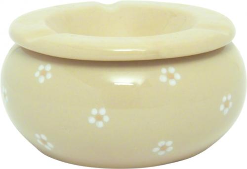 Sturmascher Gänseblümchen