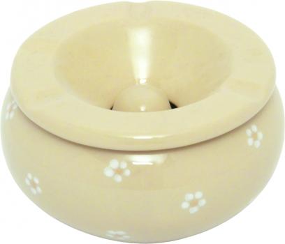 Sturmascher Gänseblümchen