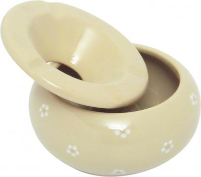 Sturmascher Gänseblümchen