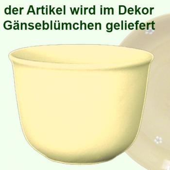 Pot 19 Gänseblümchen