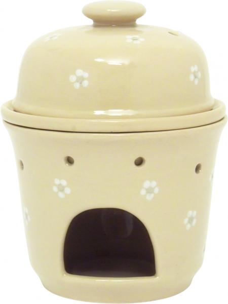 Apfelbräter Gänseblümchen