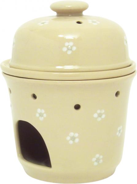 Apfelbräter Gänseblümchen