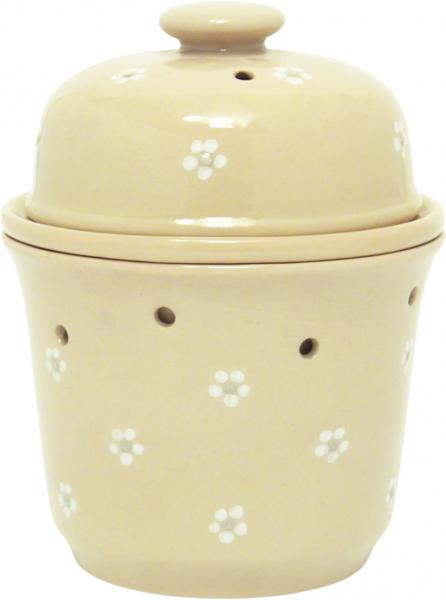 Apfelbräter Gänseblümchen