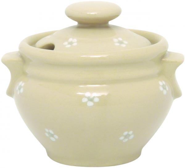 Honig Gänseblümchen