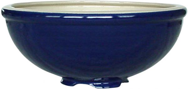 Obstwäscher glänzend blau
