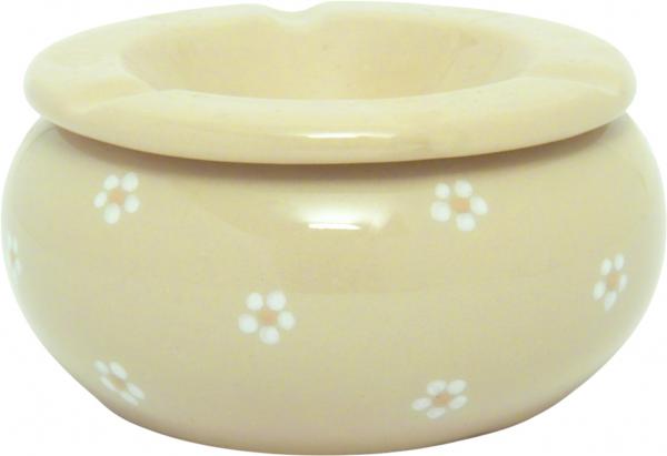 Sturmascher Gänseblümchen