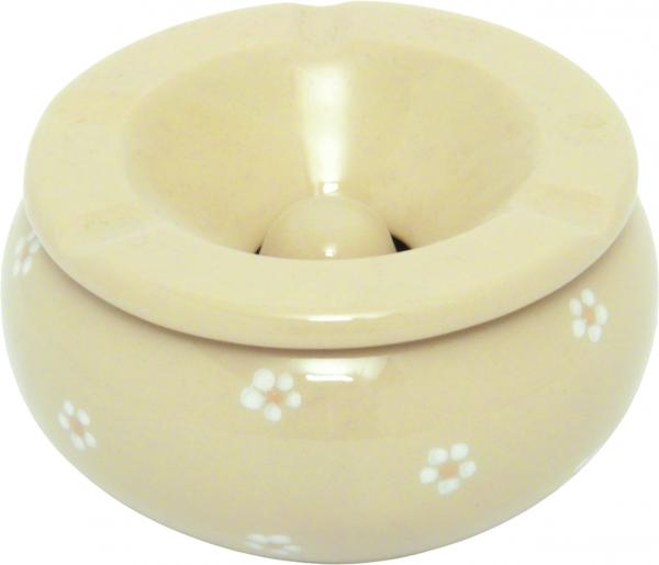 Sturmascher Gänseblümchen