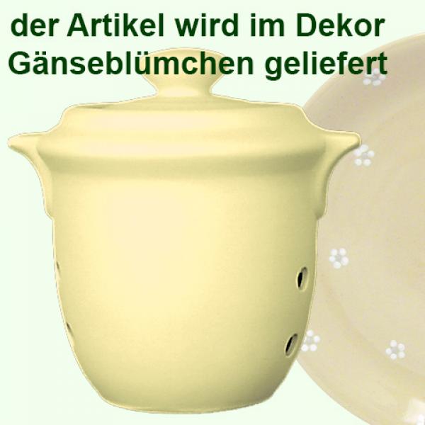 Zwiebeltopf Gänseblümchen